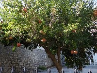 Foto 064